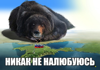 медведь.jpg